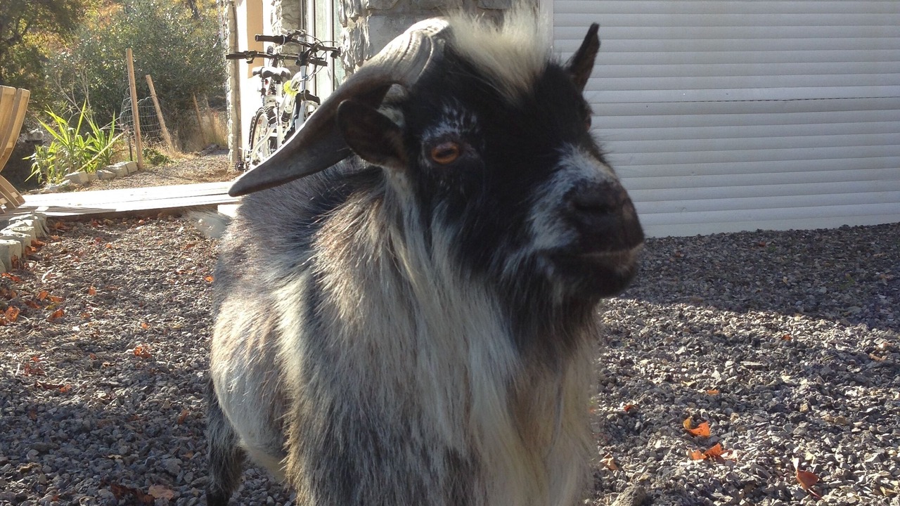 Photo of Outdoor in Massoins