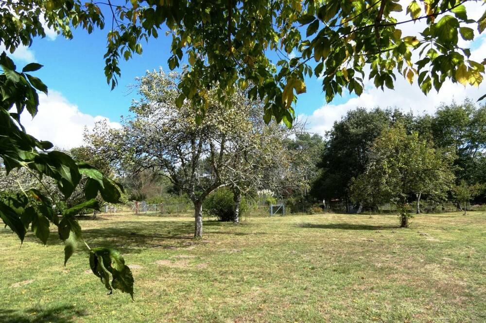 Photo of Outdoor in Vert