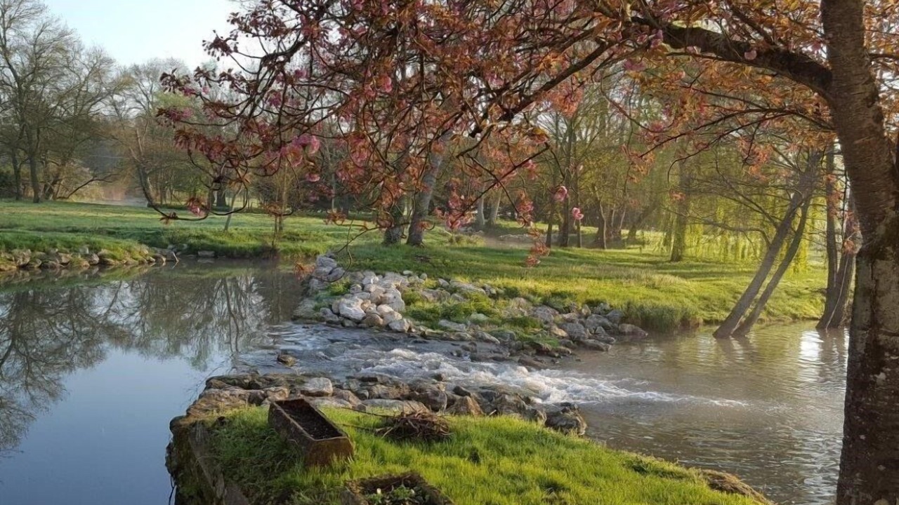 Photo of Outdoor in Chancay