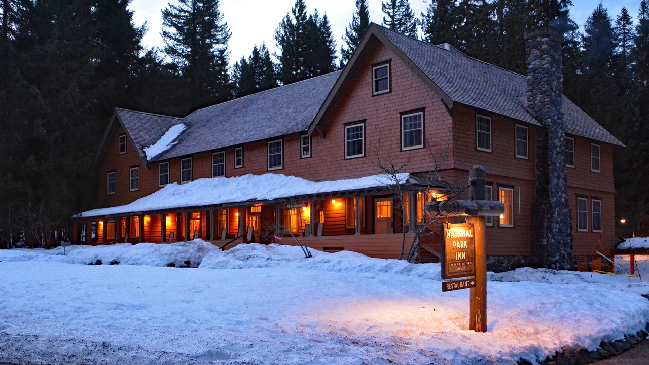 Photo of Outdoor in Longmire