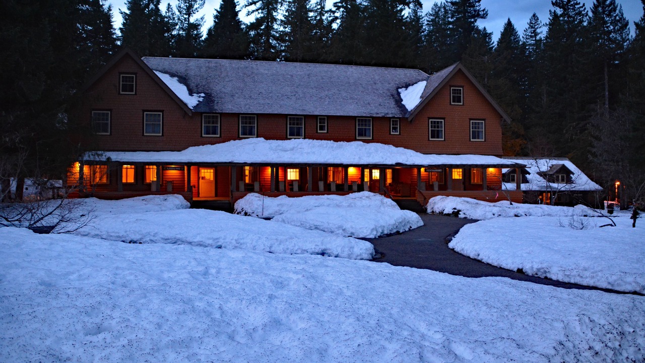 Photo of Outdoor in Longmire