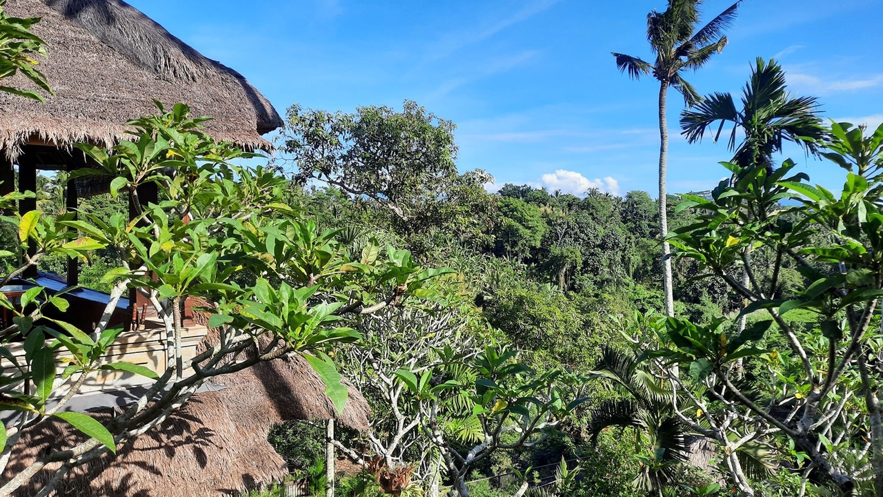 Photo of Outdoor in Nyuh Kuning