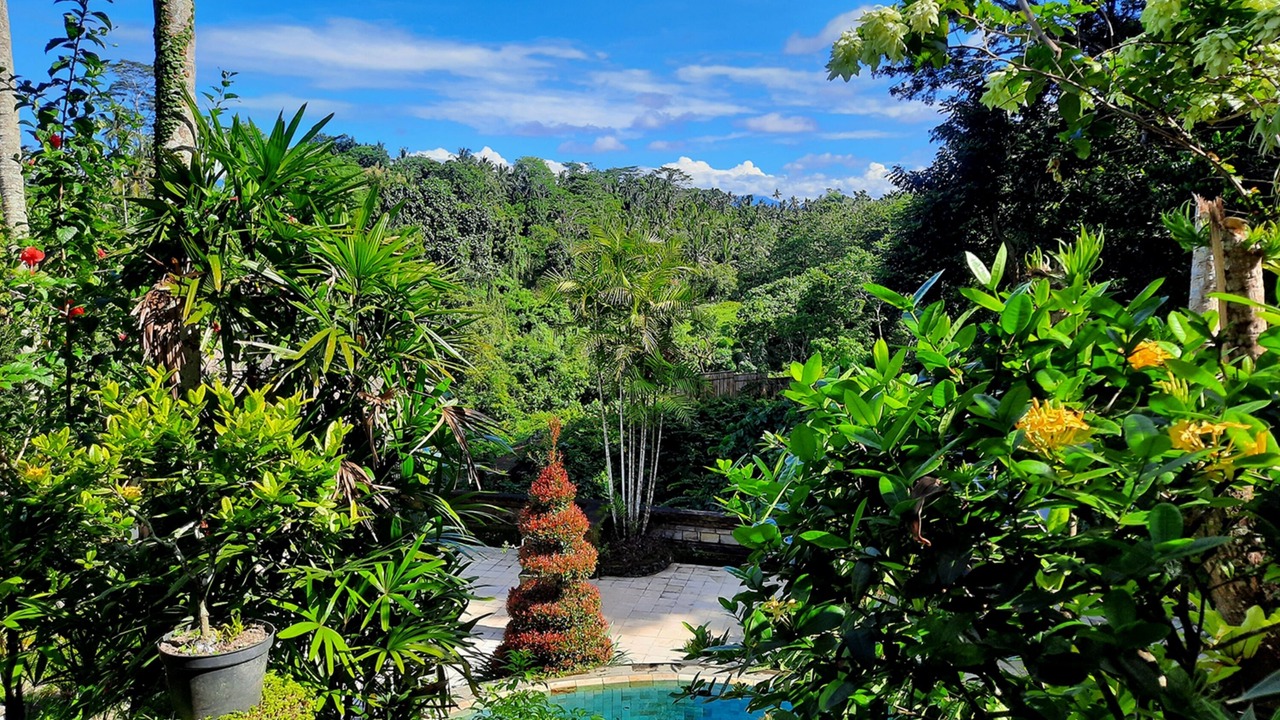 Photo of Outdoor in Nyuh Kuning