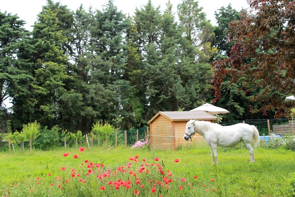 Photo of Outdoor in Saint-Andiol