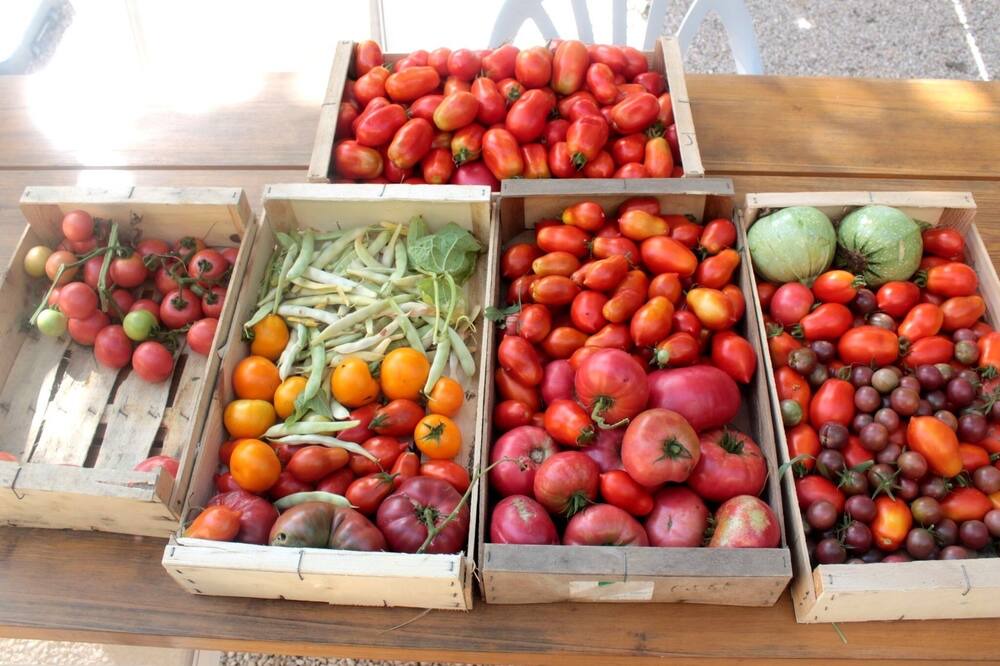 Photo of Outdoor in Saint-Andiol