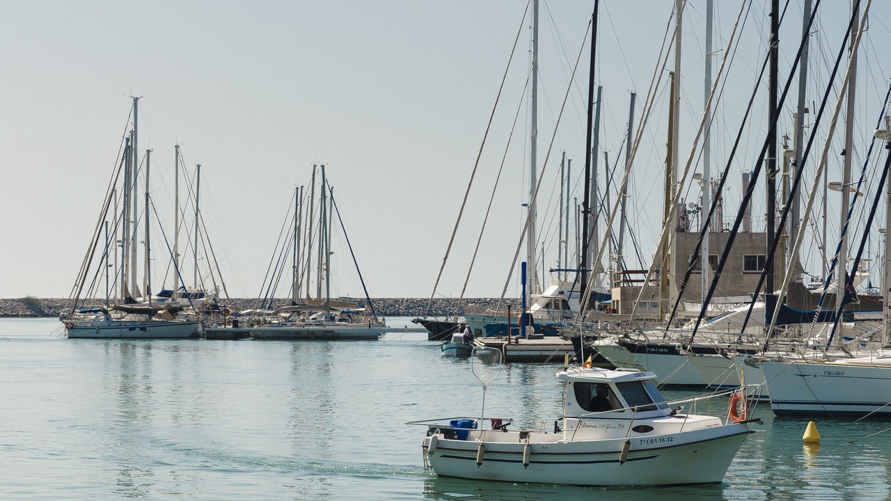 Photo of Others in Vilanova I la Geltru