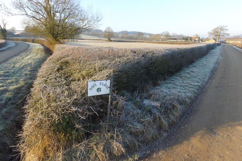 Photo of Others in Bourton