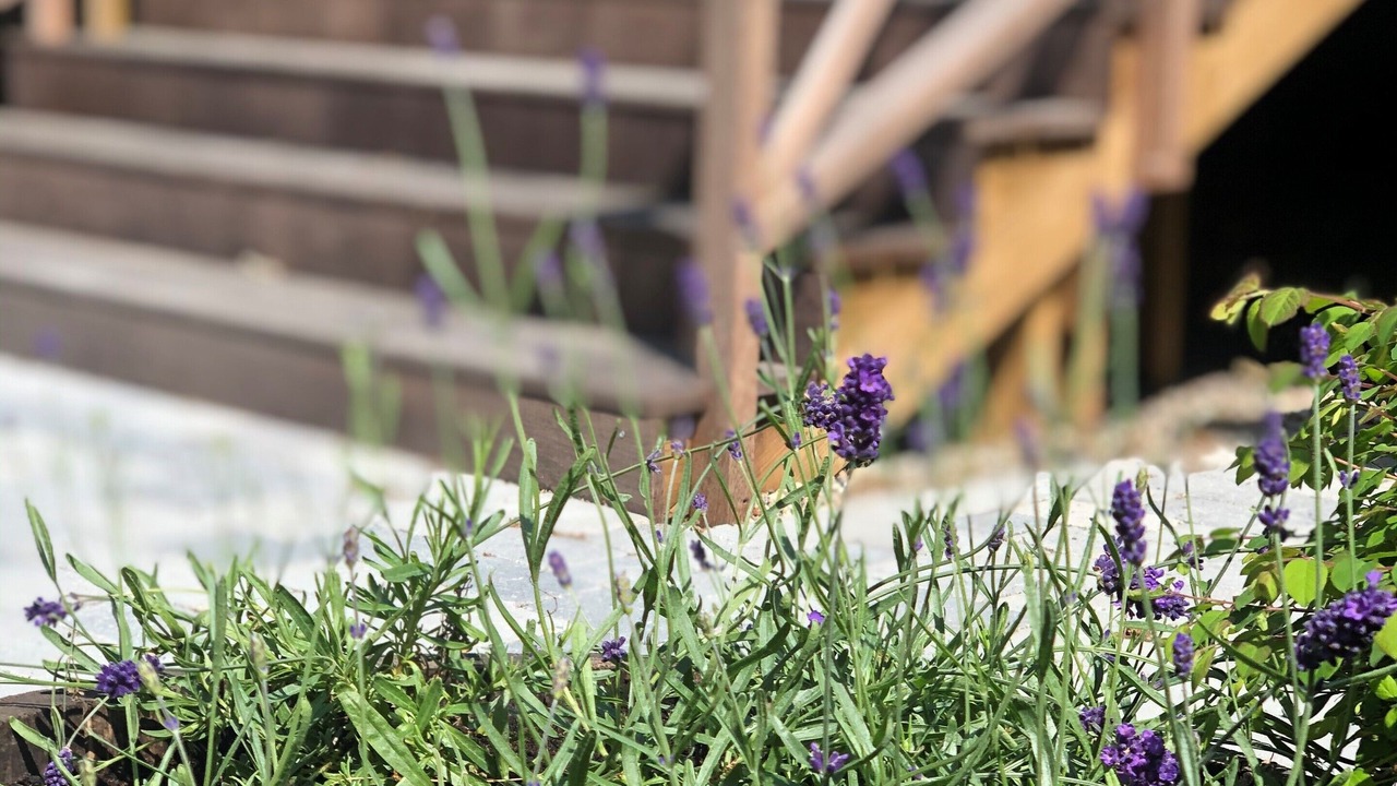 Photo of Outdoor in Rrvig