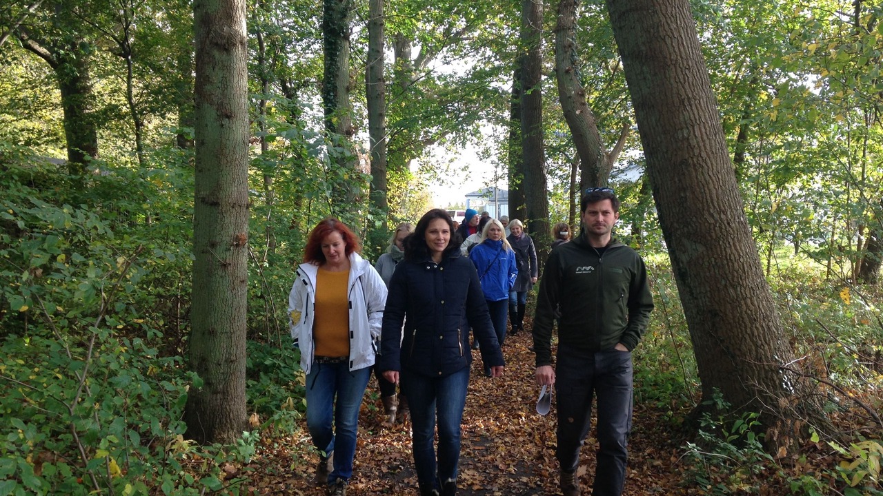 Photo of Outdoor in Rrvig