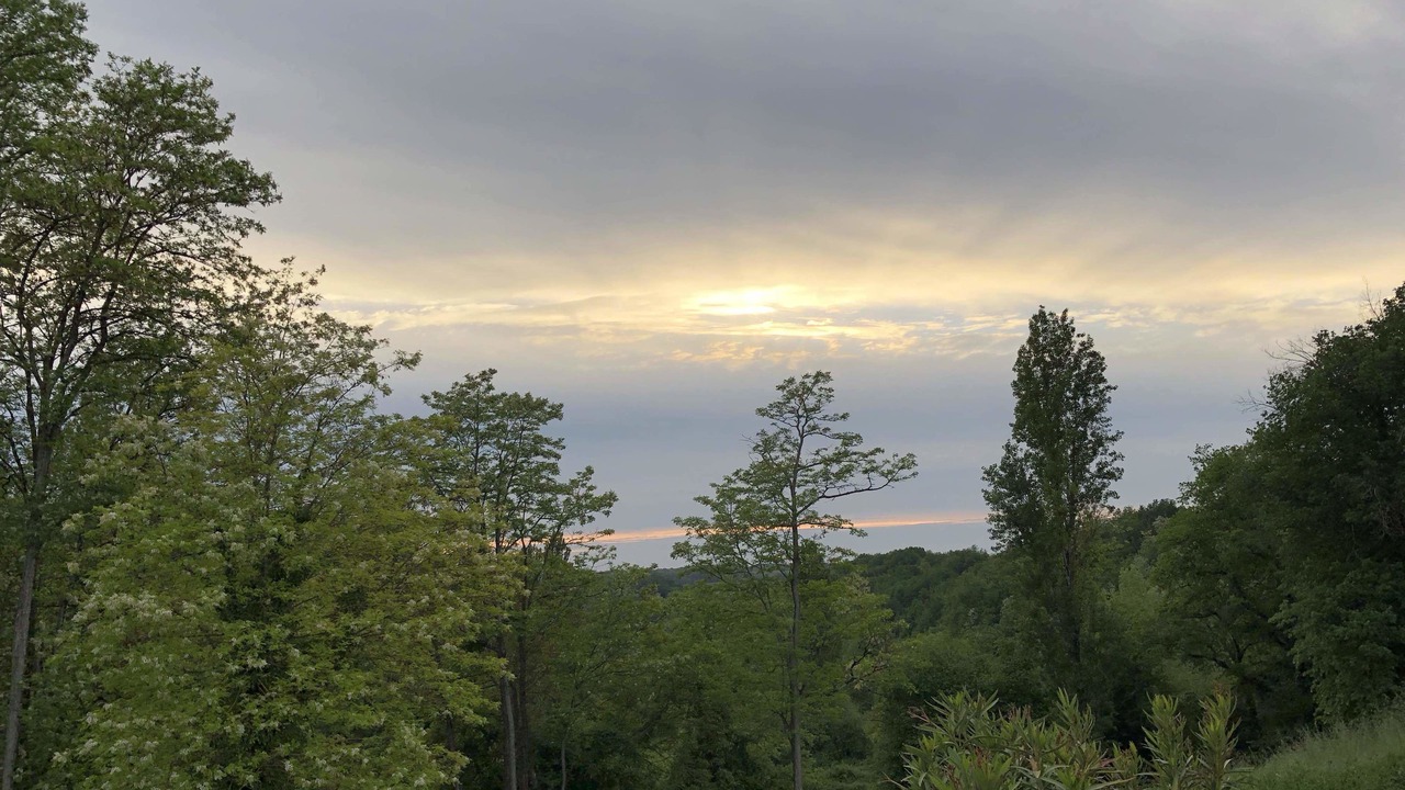 Photo of Others in Rauzan