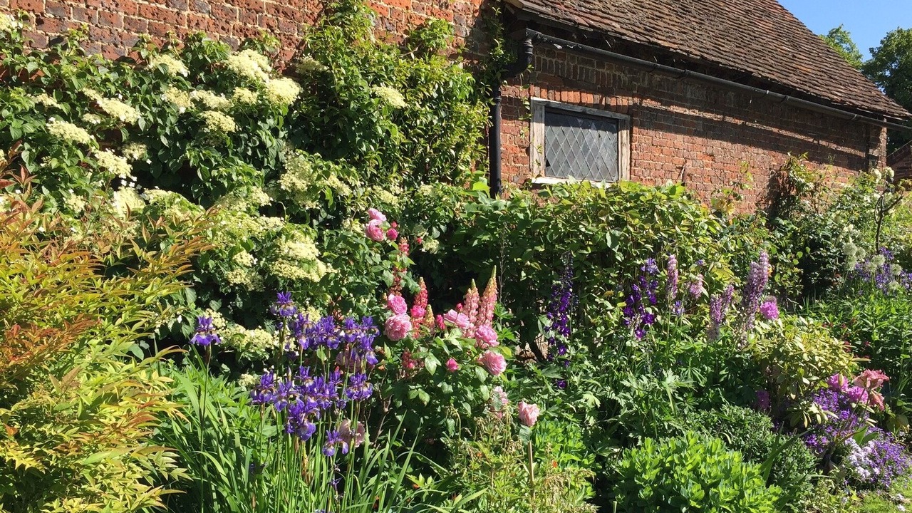 Photo of Outdoor in Harlington