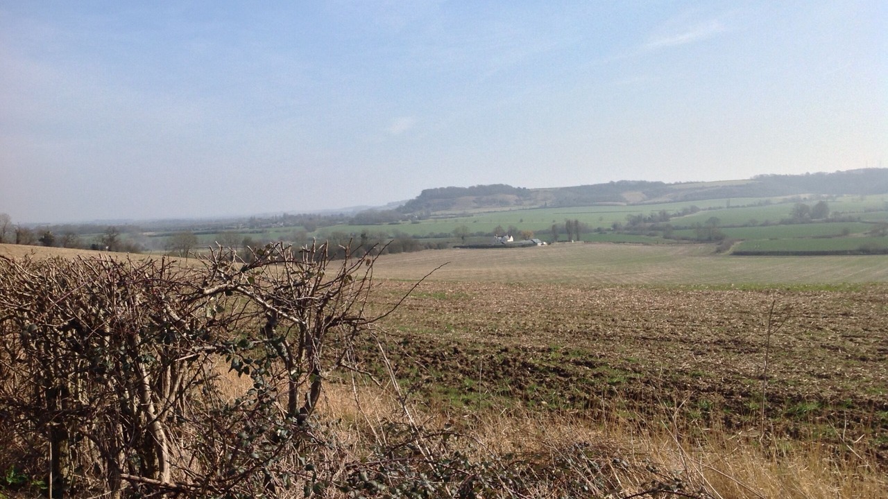 Photo of Others in Harlington