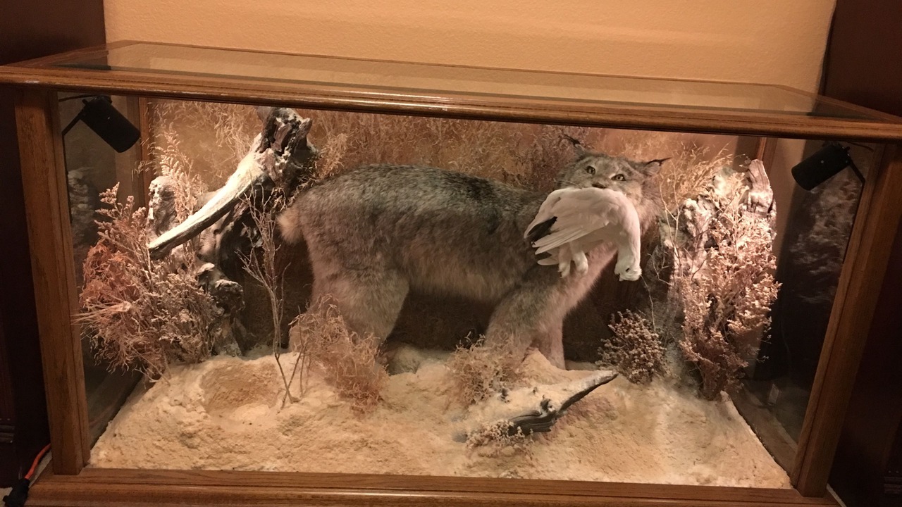 Photo of Others in North Las Vegas