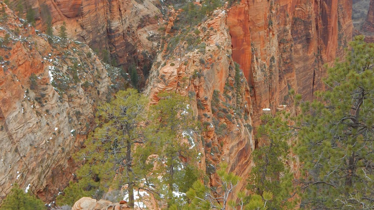 Photo of Outdoor in Zion National Park South Entrance