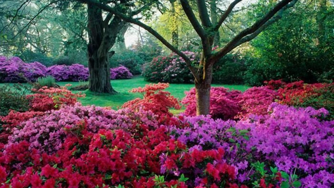 Photo of Outdoor in New Forest District