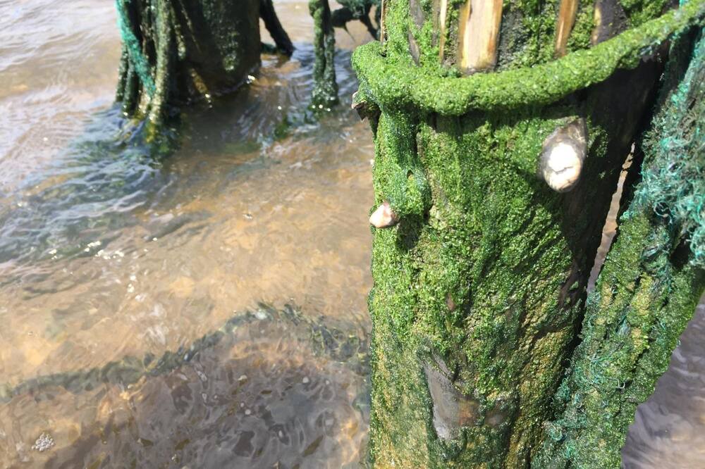 Photo of Outdoor in Gredstedbro