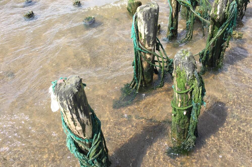 Photo of Outdoor in Gredstedbro