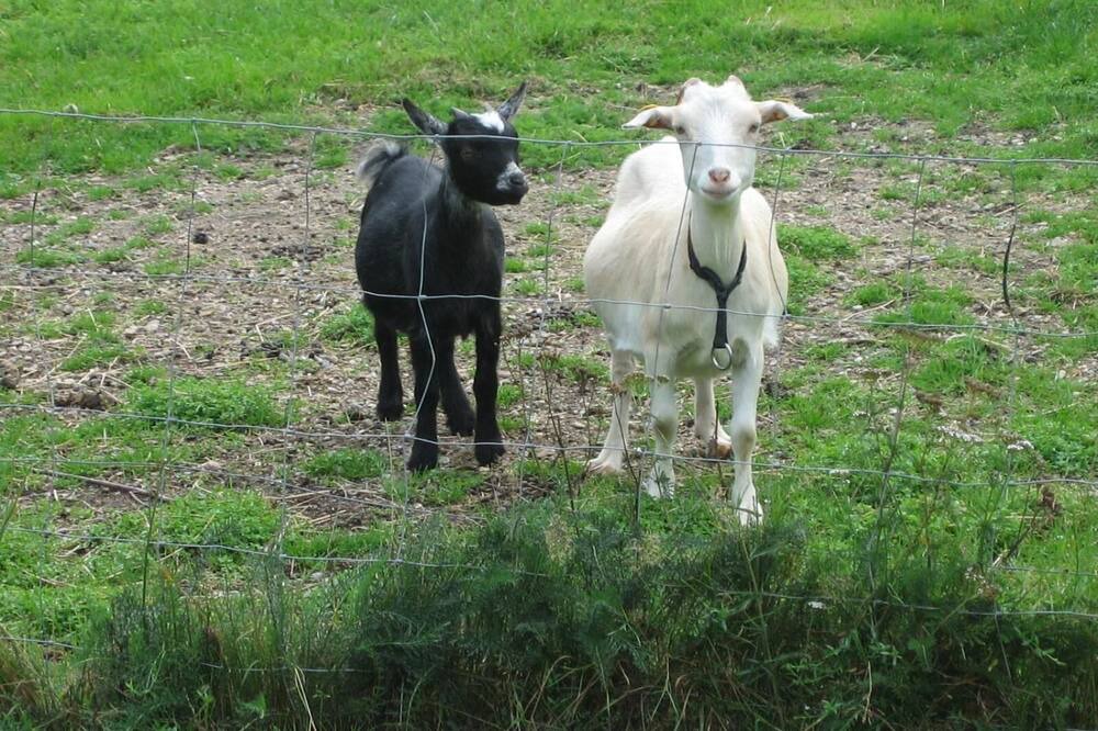 Photo of Outdoor in Gredstedbro