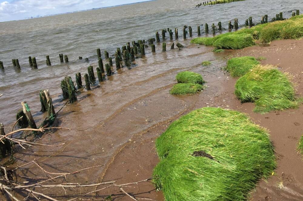 Photo of Outdoor in Gredstedbro