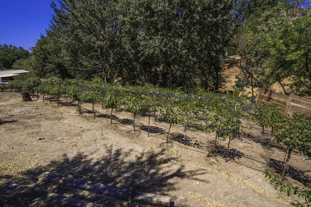 Photo of Others in Agoura Hills