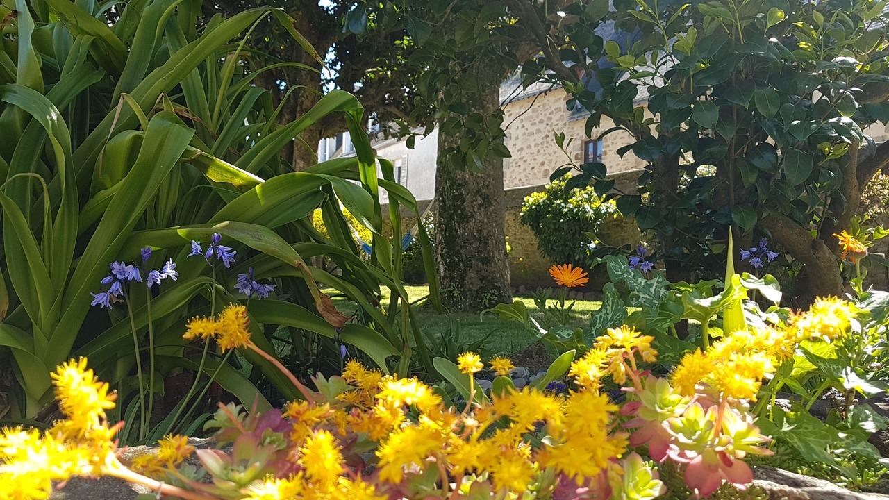 Photo of Outdoor in Port-Louis