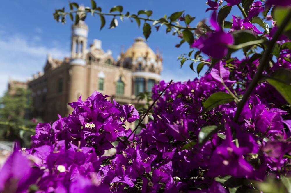 Photo of Outdoor in El Guinardo