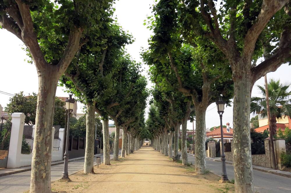 Photo of Outdoor in Canet de Mar