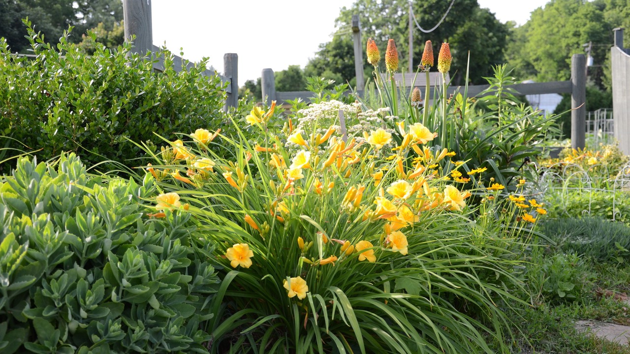 Photo of Outdoor in Carlisle