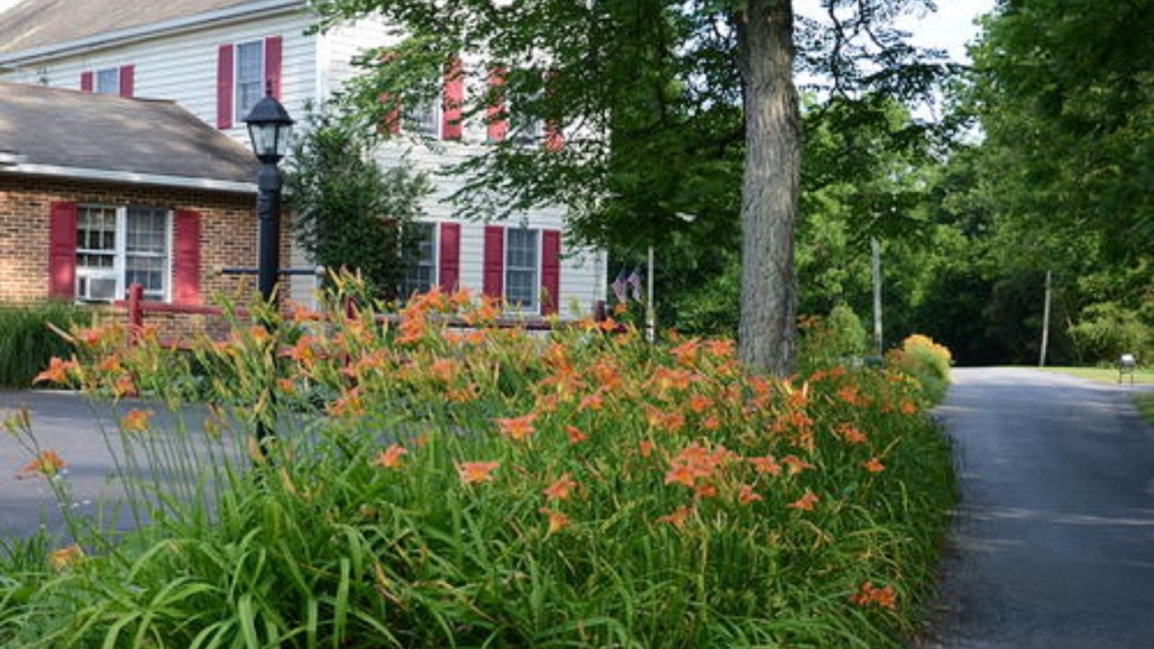 Photo of Outdoor in Carlisle