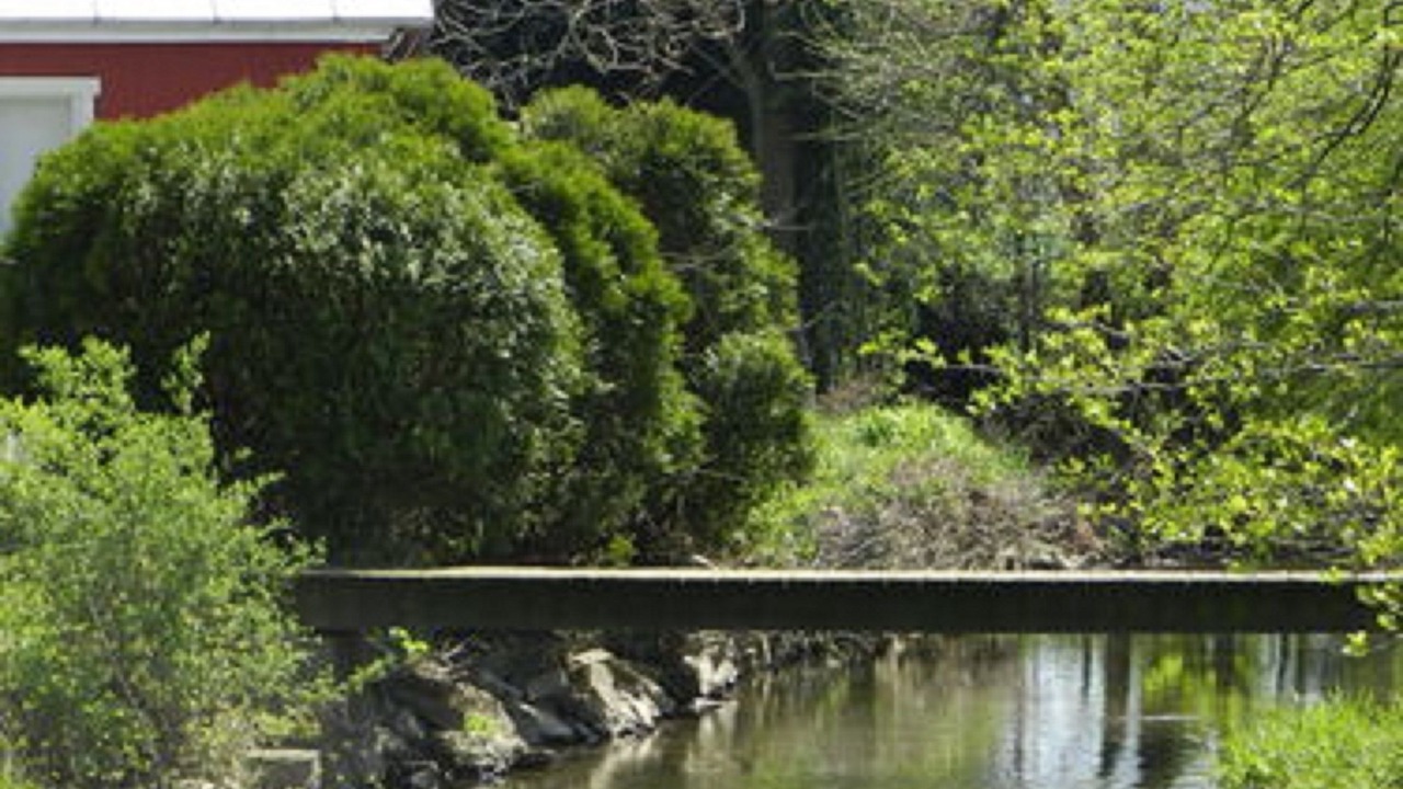 Photo of Outdoor in Carlisle