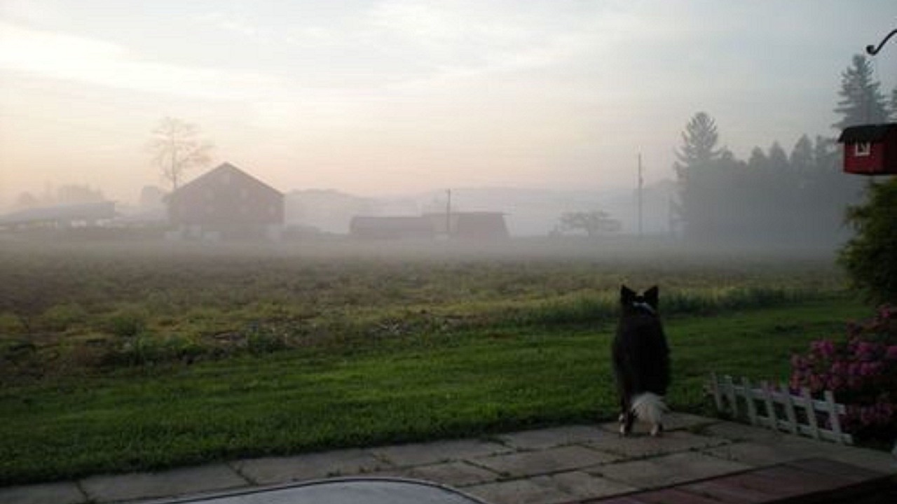 Photo of Others in Carlisle
