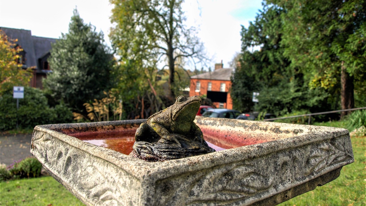 Photo of Outdoor in St Albans