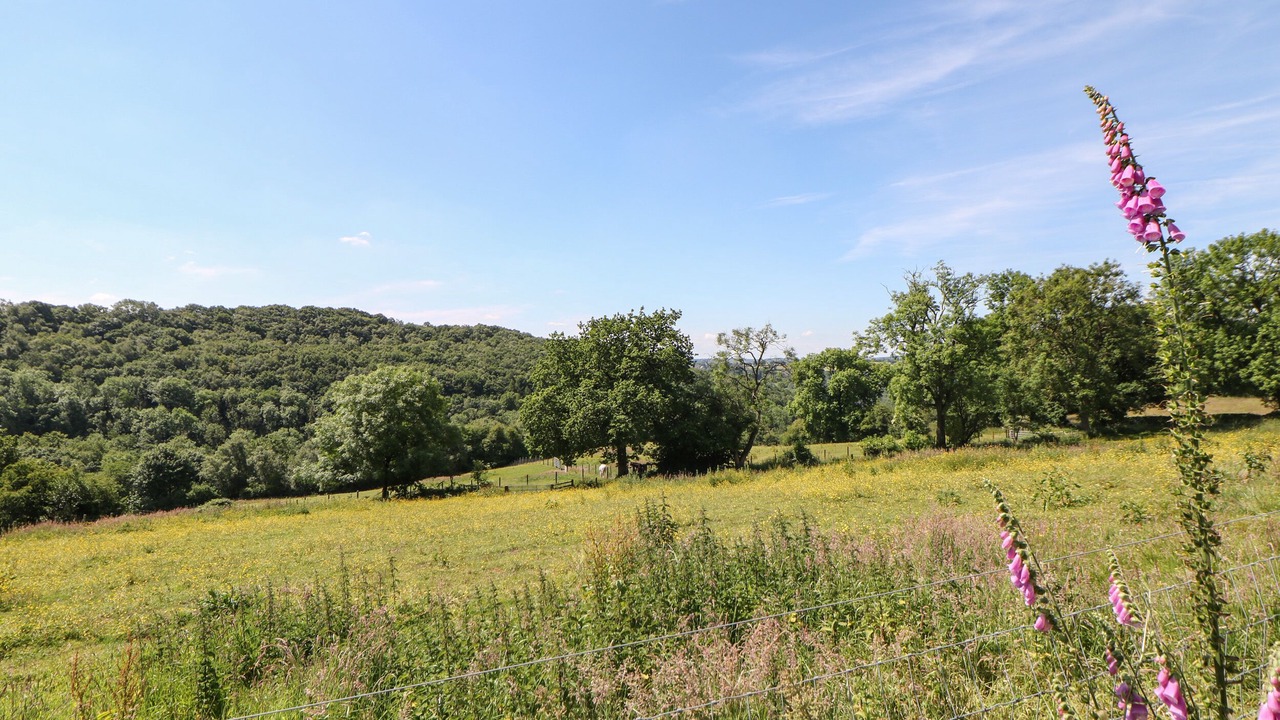 Photo of Others in Foxt