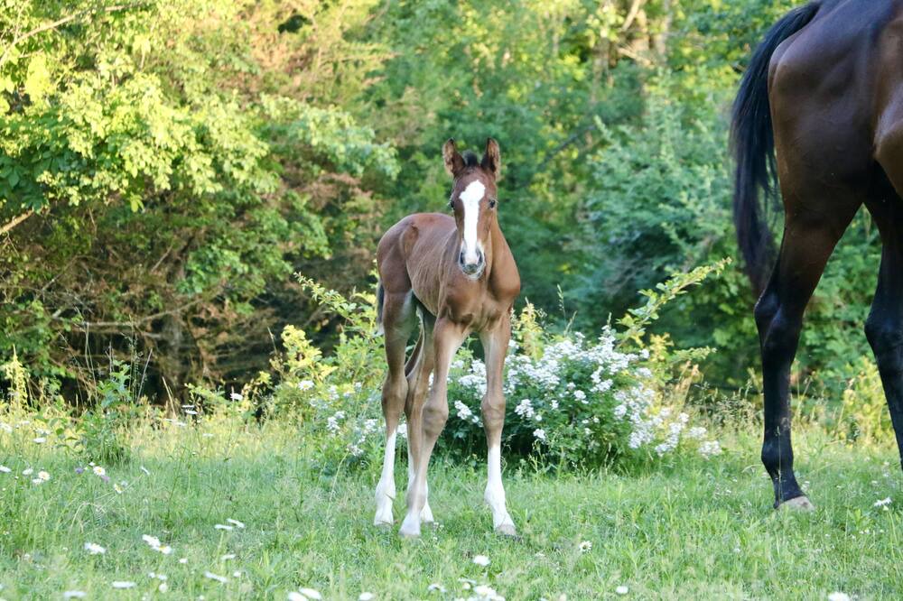 Photo of Outdoor in Town of Putnam