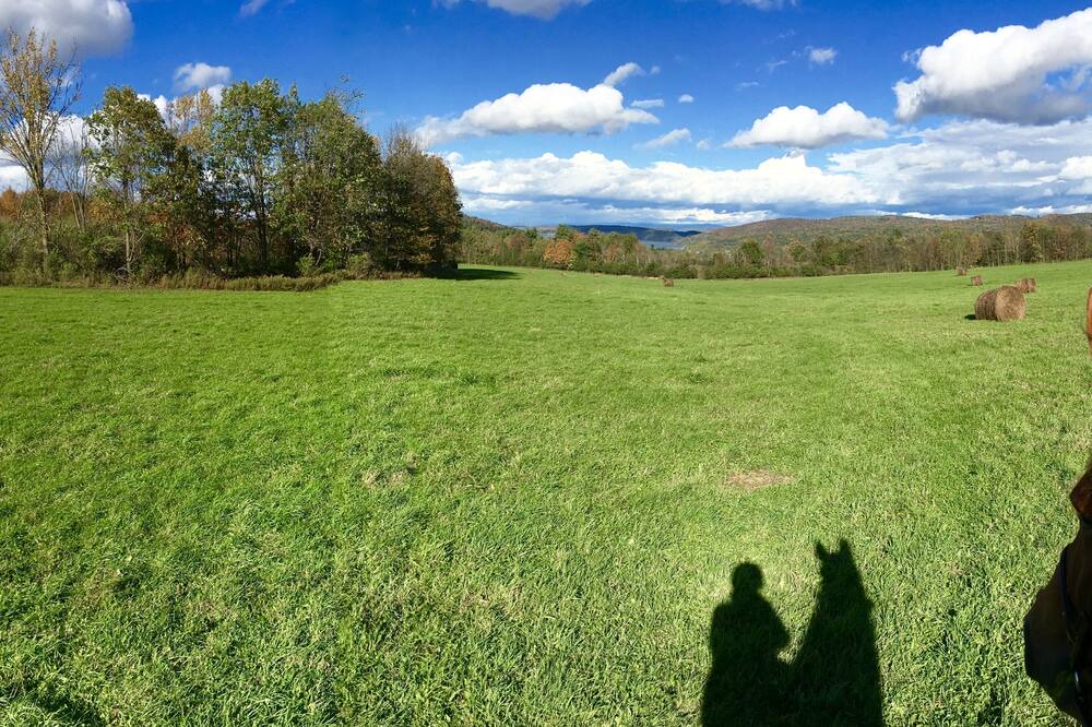 Photo of Others in Town of Putnam