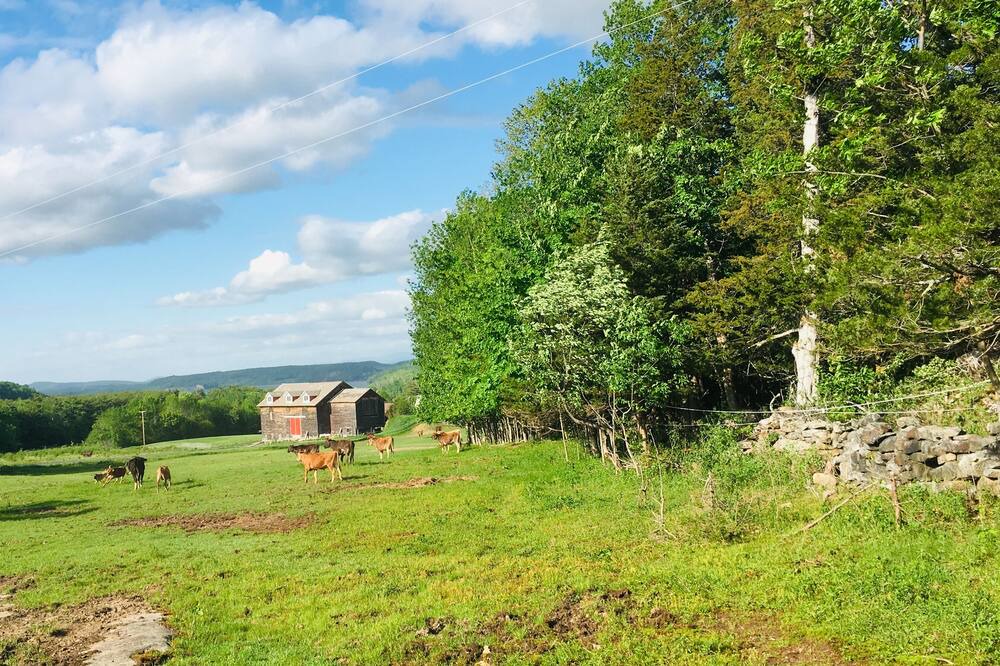 Photo of Outdoor in Town of Putnam