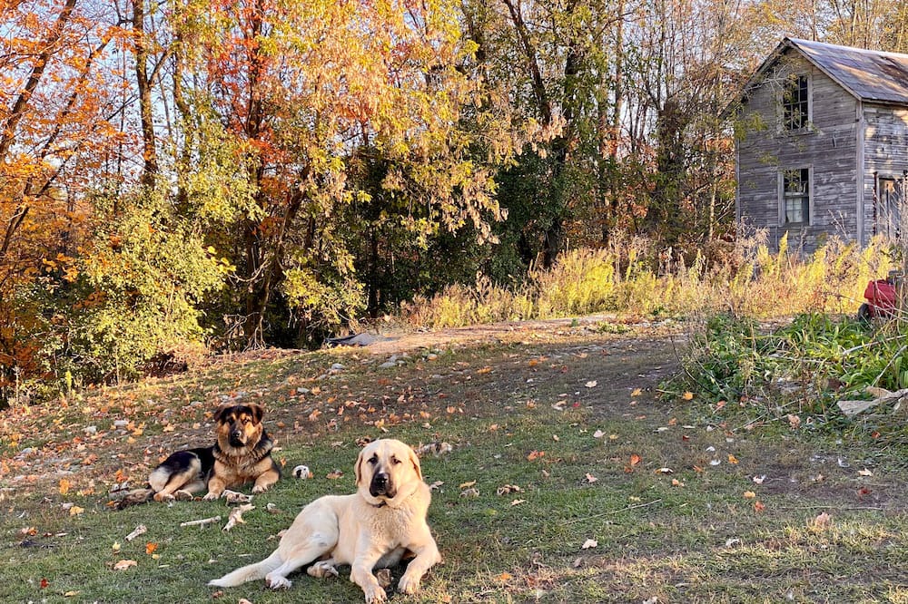 Photo of Bedroom in Town of Putnam