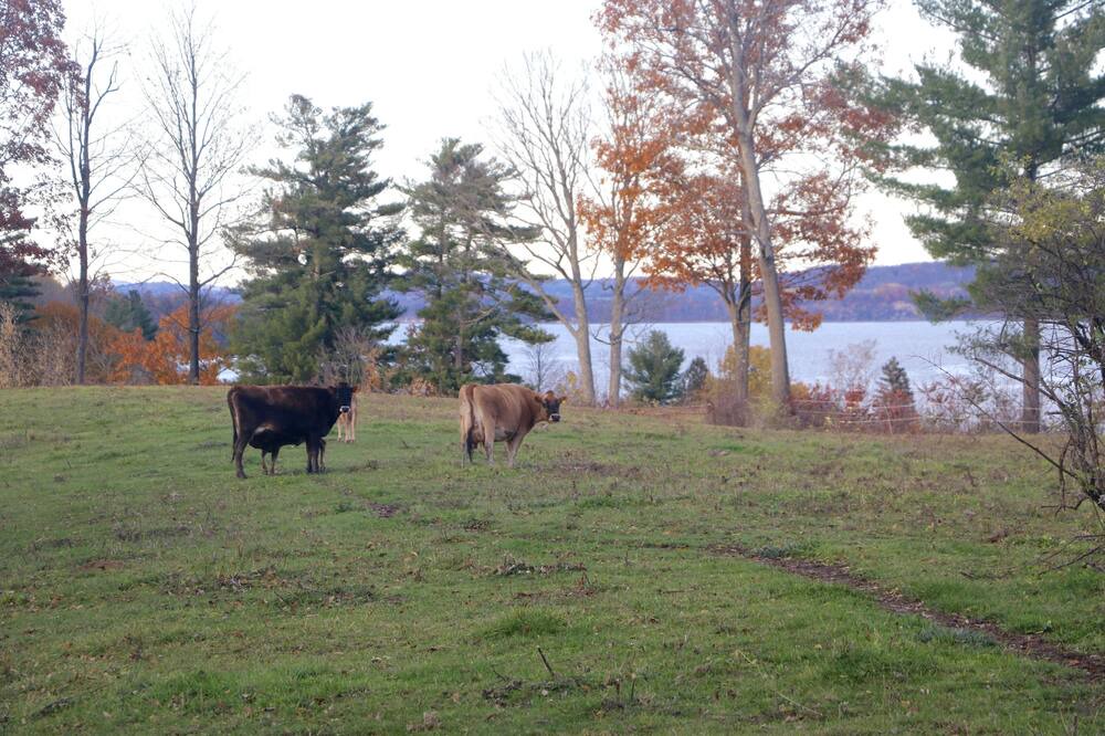 Photo of Outdoor in Town of Putnam