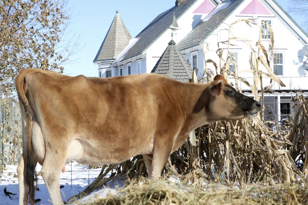 Photo of Outdoor in Town of Putnam