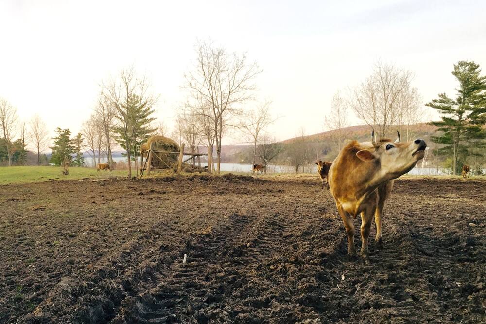 Photo of Outdoor in Town of Putnam