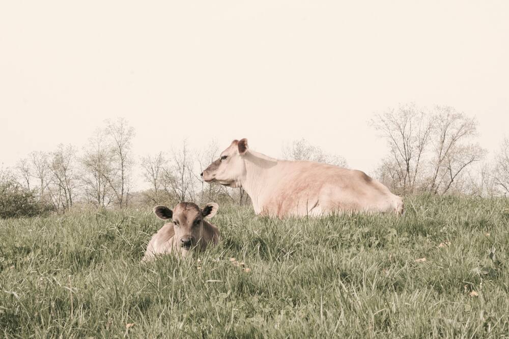 Photo of Outdoor in Town of Putnam