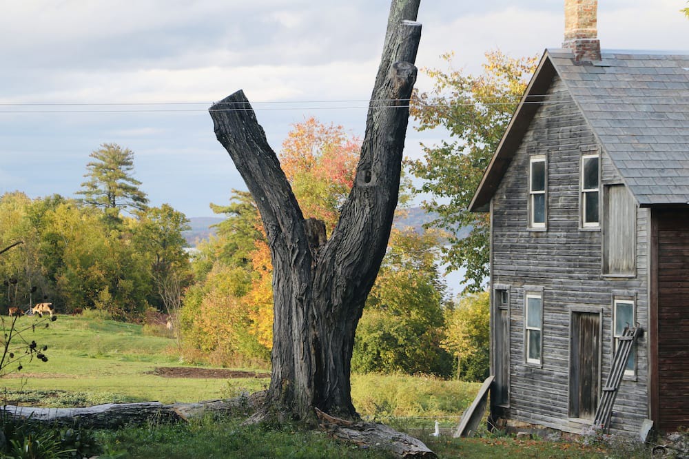 Photo of Outdoor in Town of Putnam