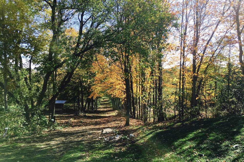 Photo of Outdoor in Town of Putnam