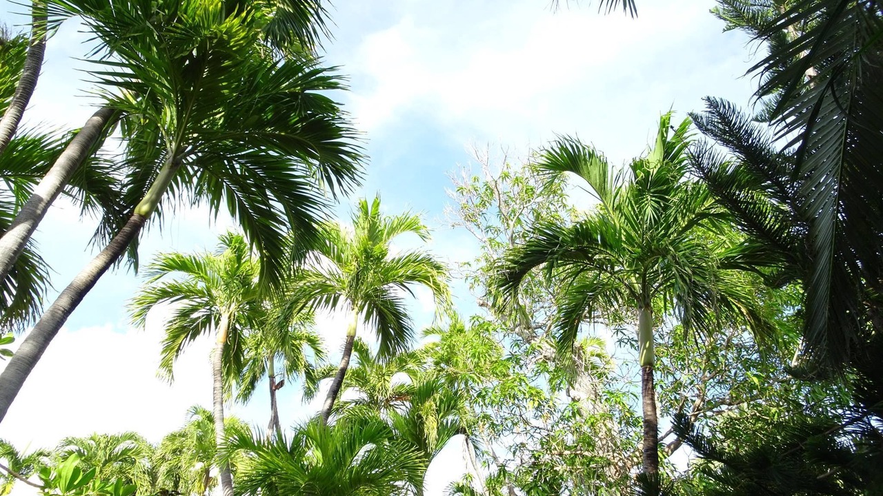 Photo of Others in Old Town