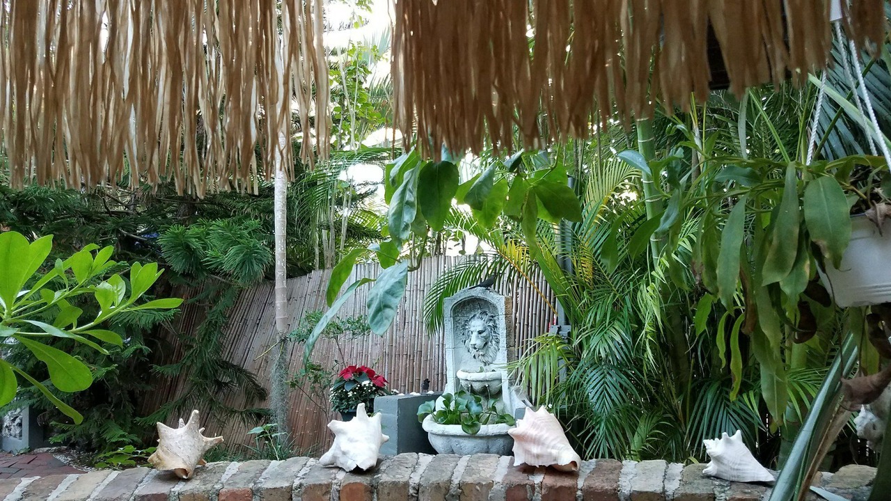 Photo of Outdoor in Old Town