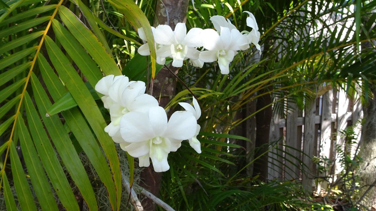 Photo of Outdoor in Old Town