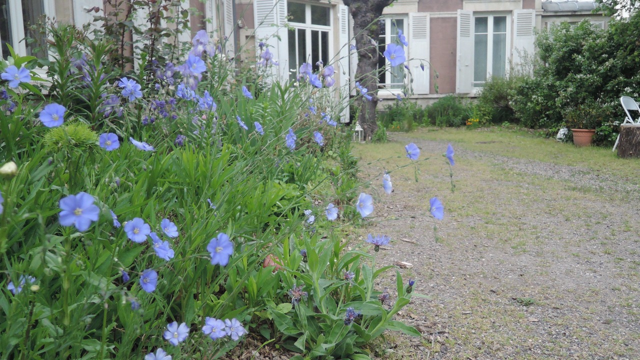 Photo of Outdoor in Sablon - Trudaine
