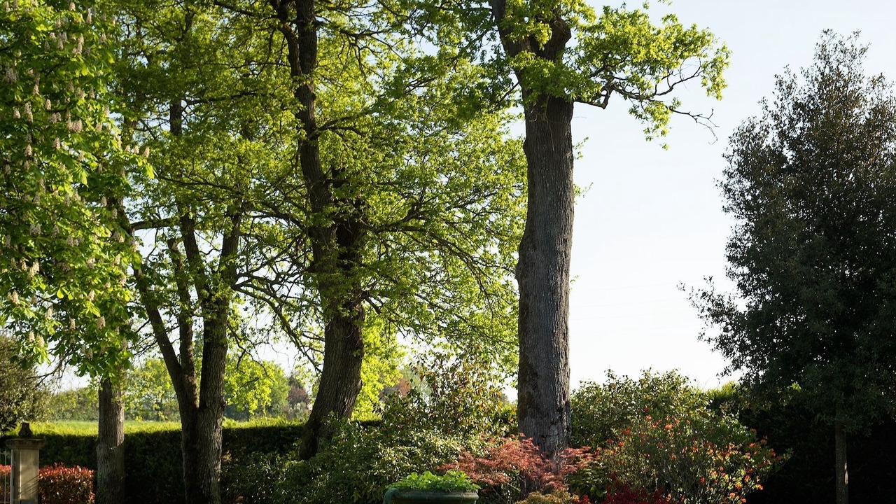 Photo of Outdoor in Oudon