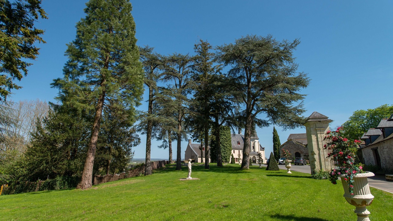 Photo of Outdoor in Chenehutte-Treves-Cunault