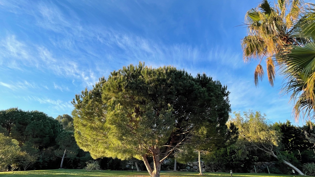 Photo of Outdoor in Saint-Nazaire